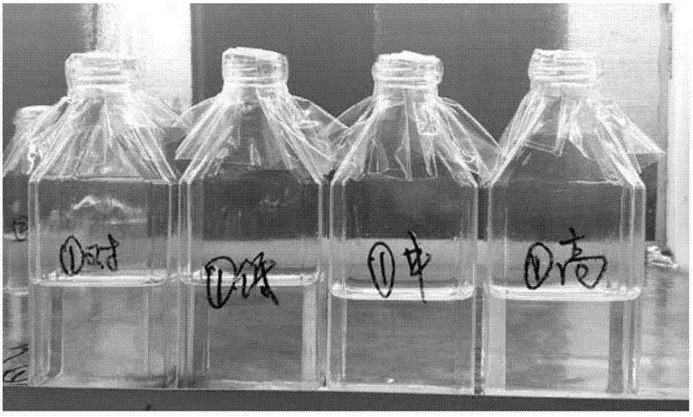 华蓝集团获批第三批广西博士后创新实践基地-澳门威尼克斯人网站